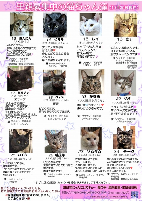 s-itirannsatooya2-20221030ip