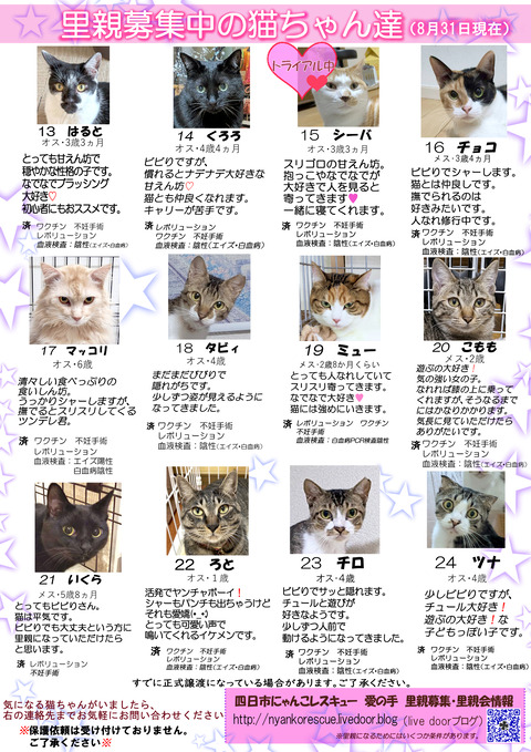 itirannsatooya2-2025831ip