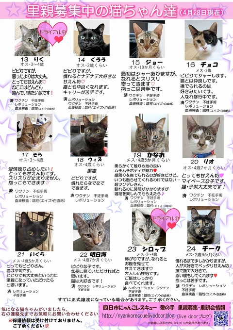 s-itirannsatooya2-2024428ip