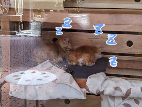 s-zzz2