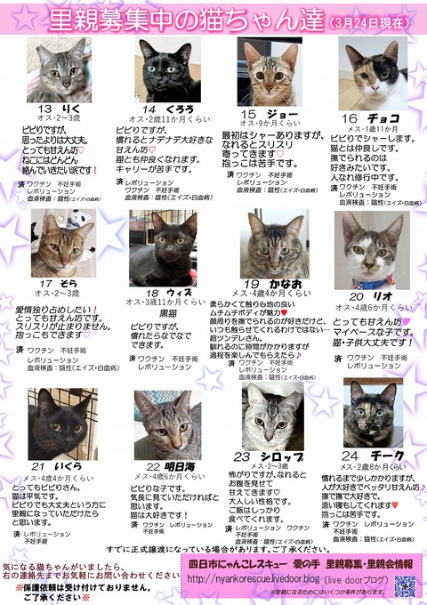 s-itirannsatooya2-2024324ip