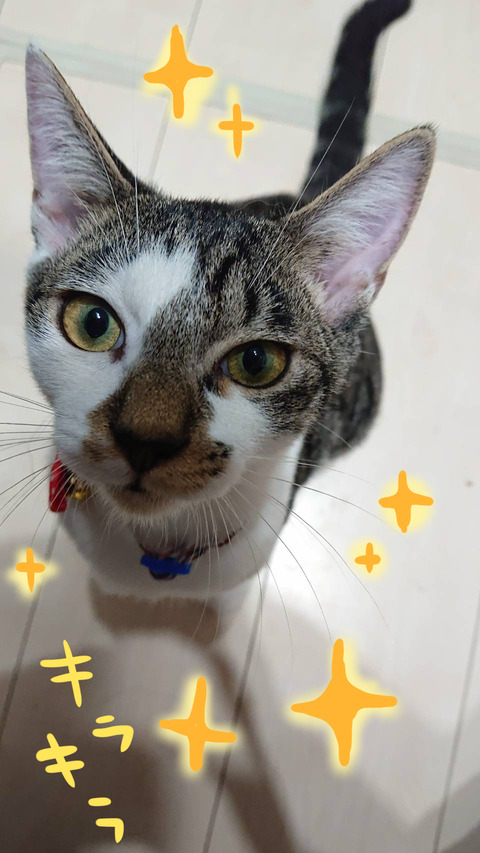 riomiru