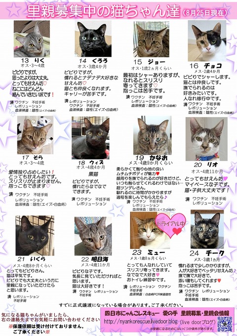 s-itirannsatooya2-2024825ip