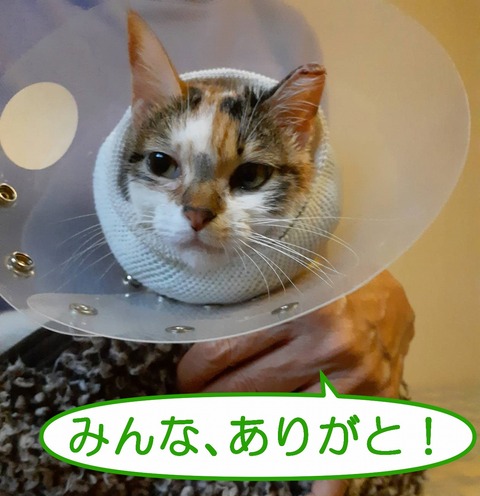 s-oreimatu