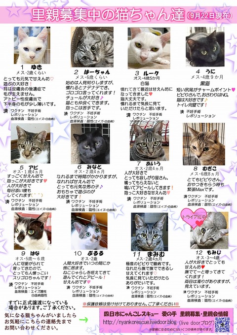 s-itirannsaooya2-3.2024922lip