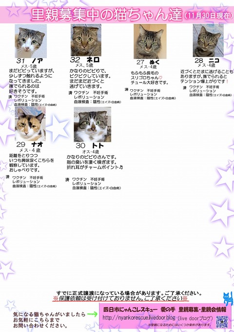 s-itirannsaooya2-20251130(2)bosyuuyouclip