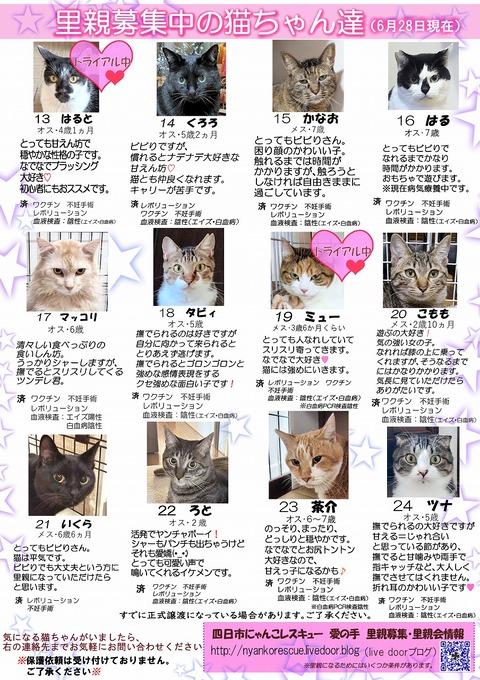 s-itirannsatooya2-2026628ip