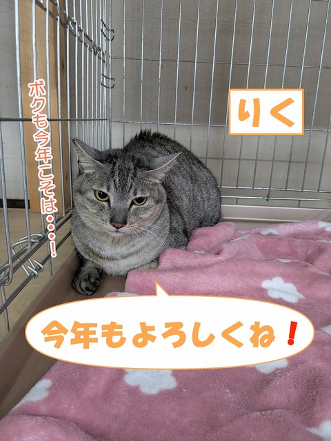 s-riku