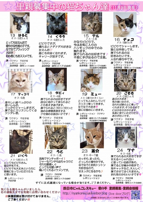 s-itirannsatooya2-2025119ip