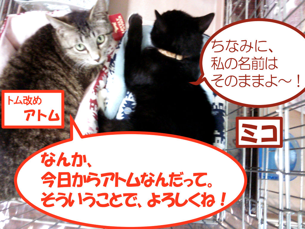 イメージ 3
