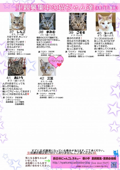 s-itirannsaooya2-2024428[ ()bosyuuyouclip