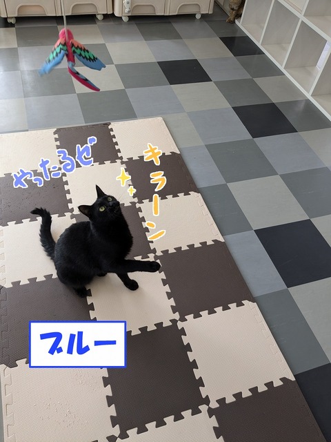 s-buru-
