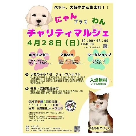 s-624ac6293d81433ab797a0ab08e18bbe