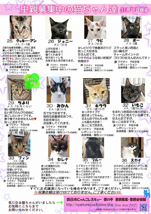 s-itirannsaooya2-20231126(2)bosyuuyouclip