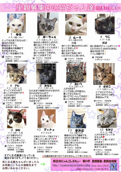 s-itirannsaooya2-3.20241222lip