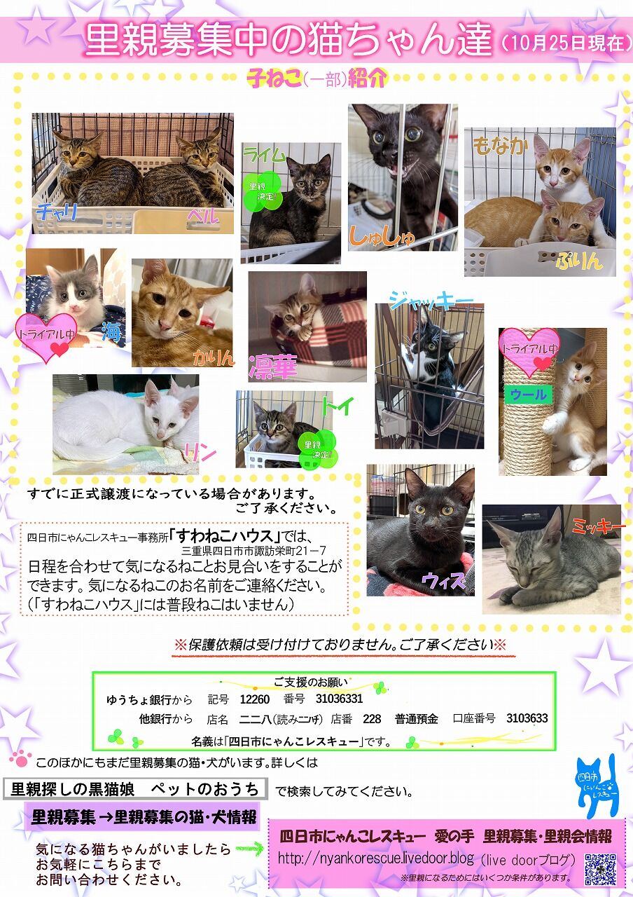 10月25日の里親会報告 四日市にゃんこレスキュー 愛の手 里親募集 里親会情報 10月25日の里親会報告 四日市にゃんこレスキュー 愛の手 里親募集 里親会情報