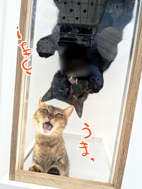 s-satukiburu-