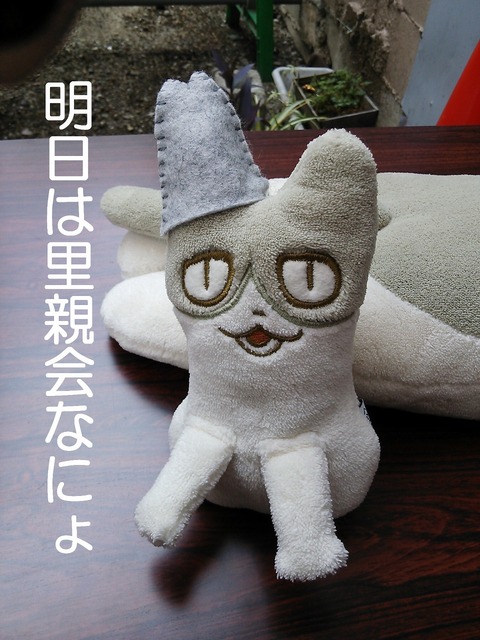 s-tomesan2