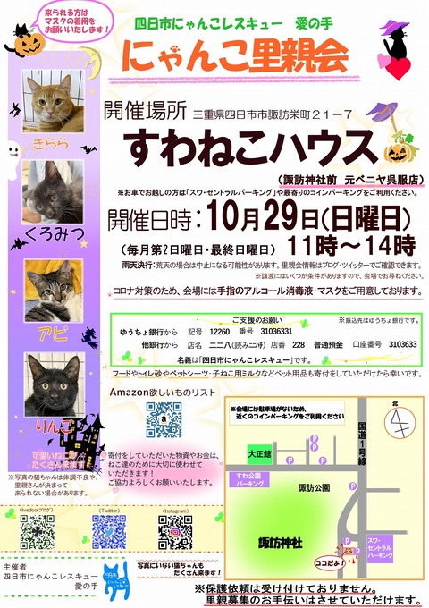 s-zyoutokai20231029konekoclip