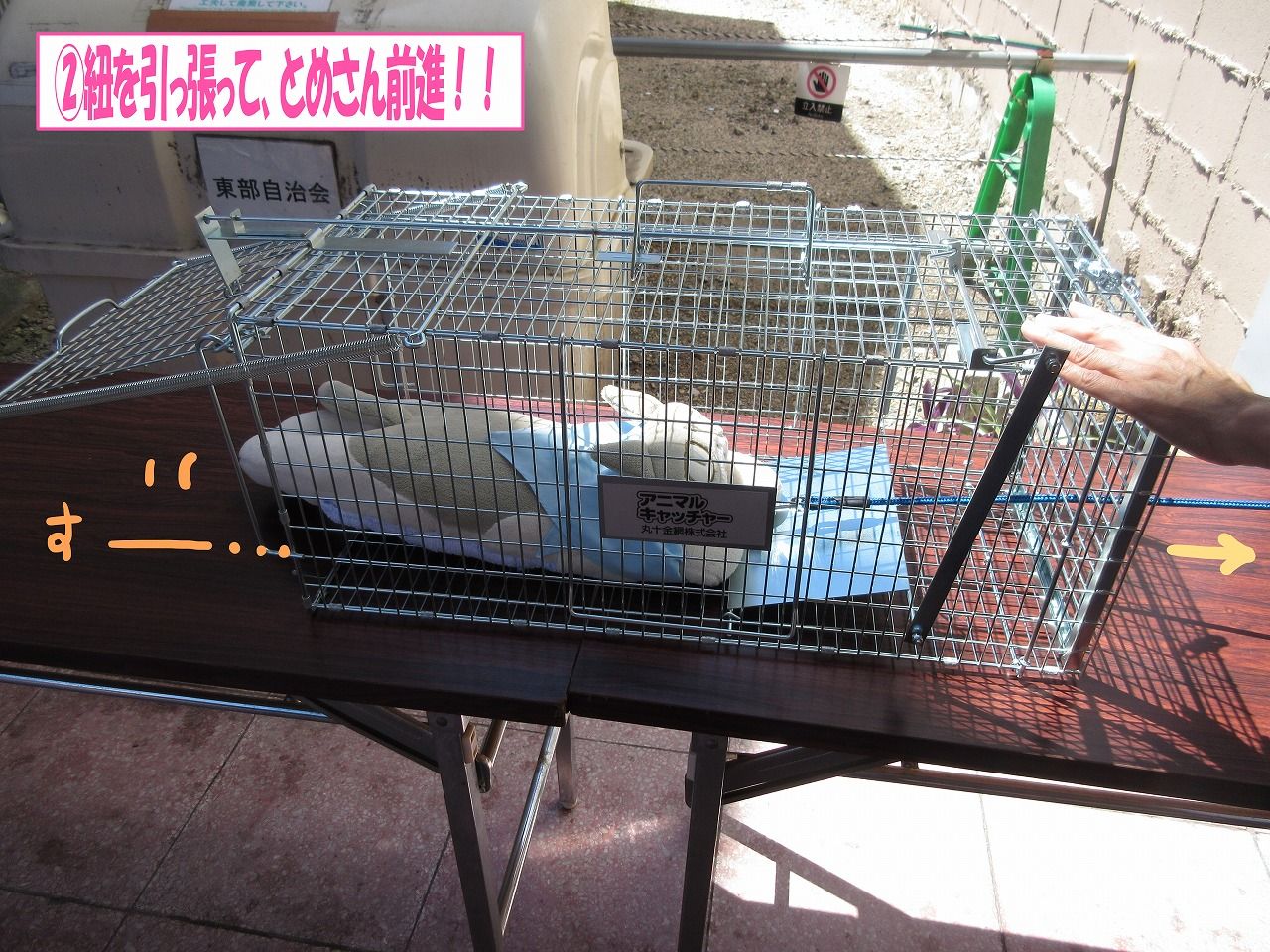 イメージ 6