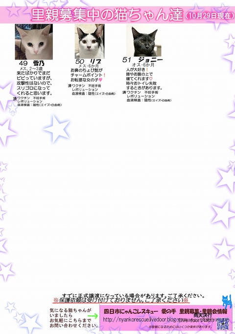 s-itirannsaooya2-20231029(3)bosyuuyouclip