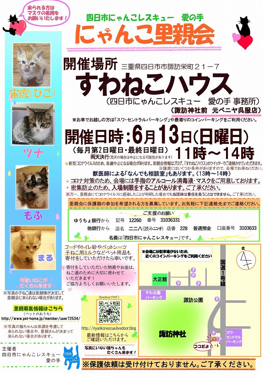 四日市にゃんこレスキュー 愛の手 里親募集 里親会情報 四日市にゃんこレスキュー 愛の手 里親募集 里親会情報
