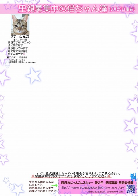 s-itirannsaooya2-2024825[ ()bosyuuyouclip