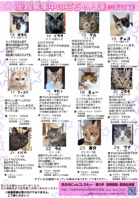 s-itirannsatooya2-20251228ip