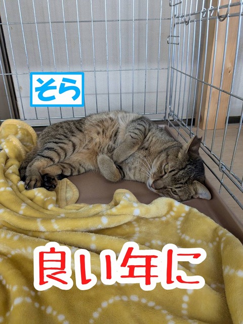 s-sora