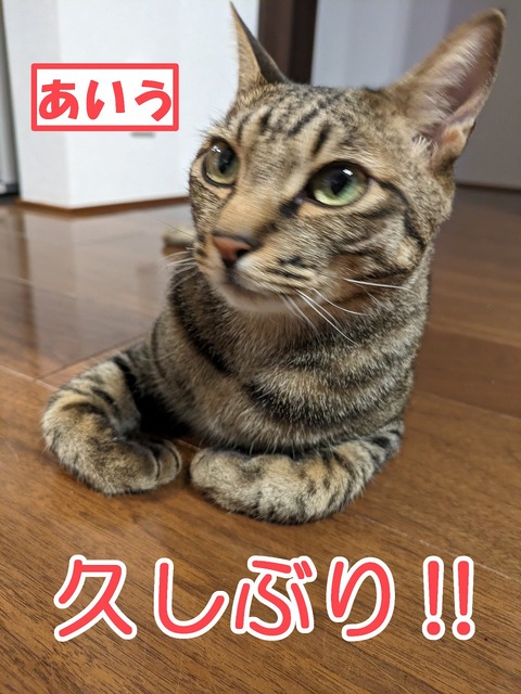 s-aiu