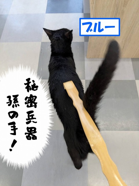 s-buru-