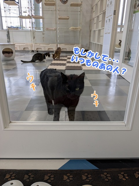 s-anohito