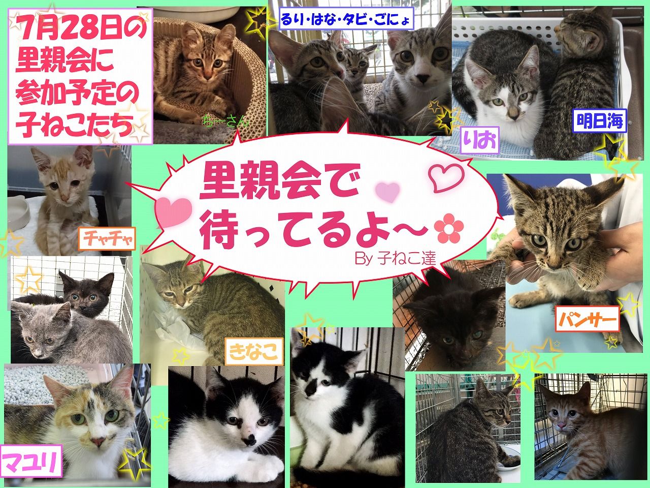 イメージ 4