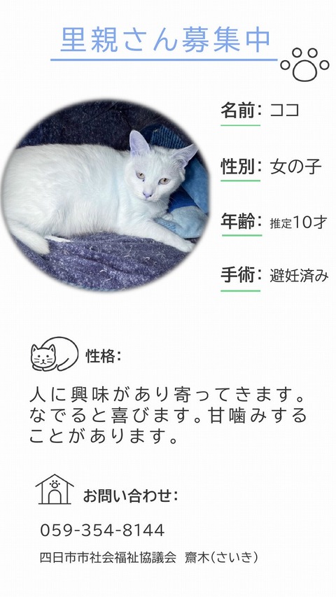 s-koko_1