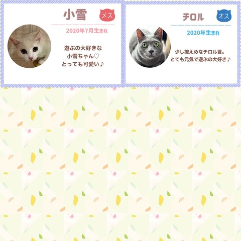 s-1699790158600