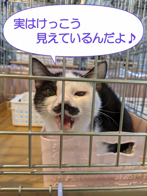 s-sebunn