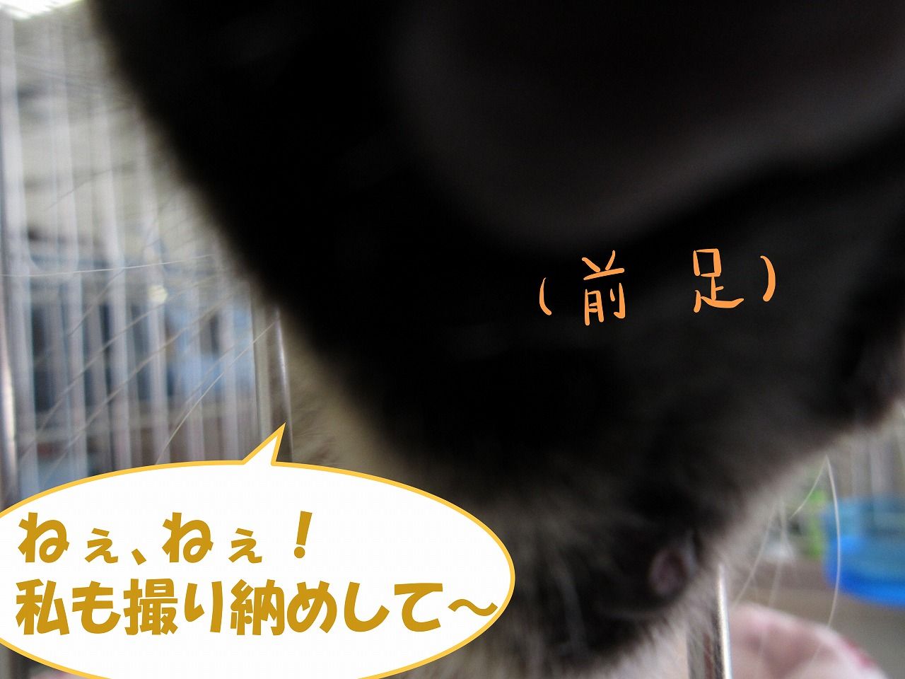 イメージ 3