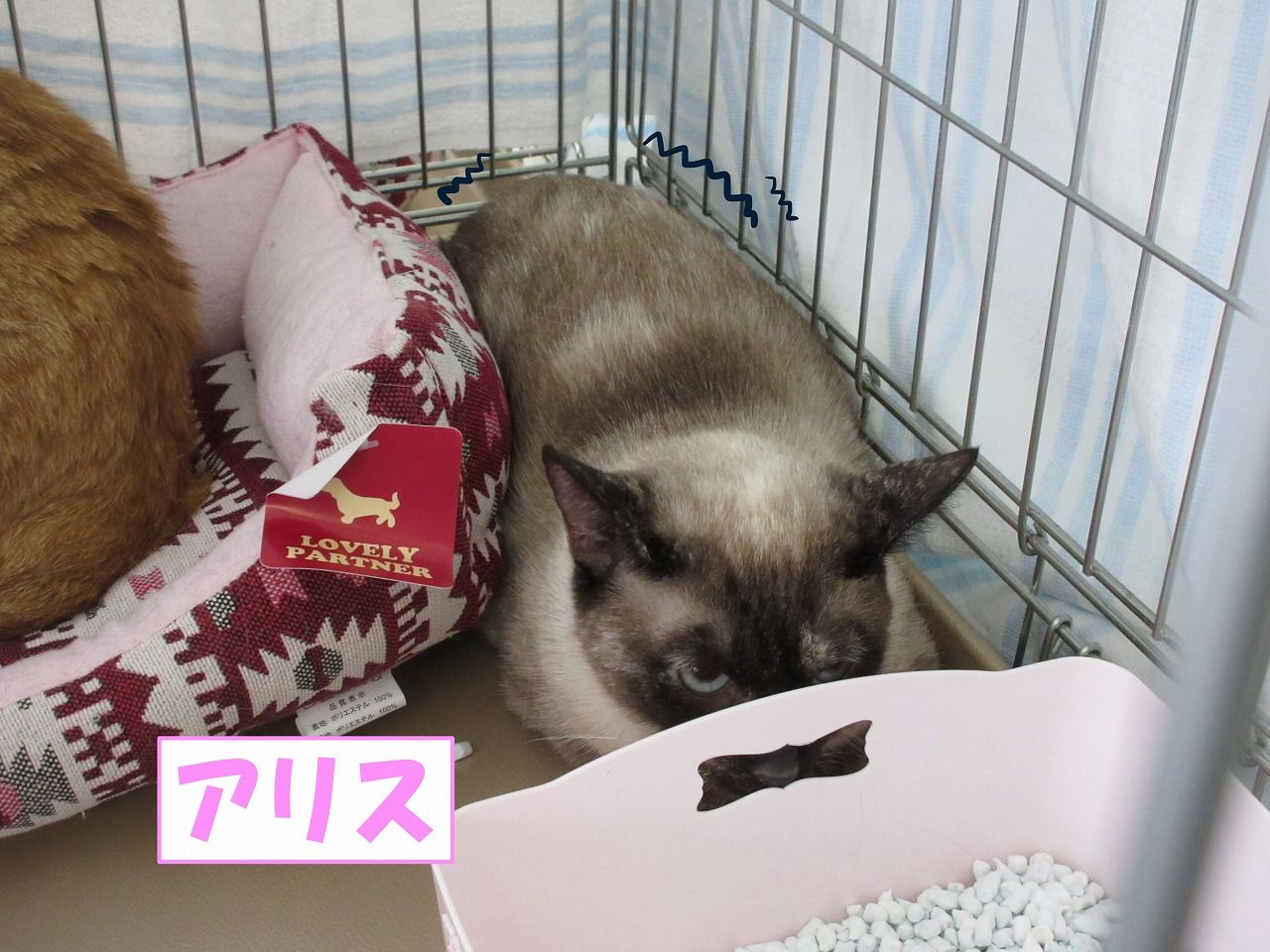 イメージ 3