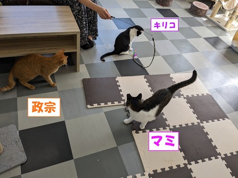 s-asobi