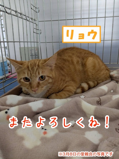 s-ryou