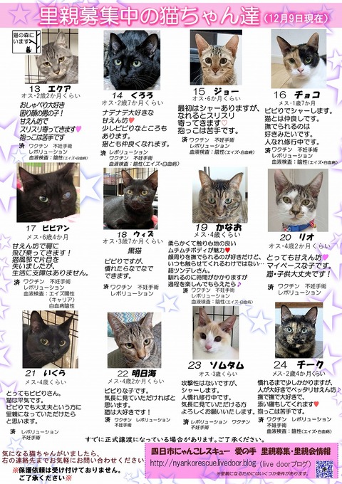 s-itirannsatooya2-20231126ip