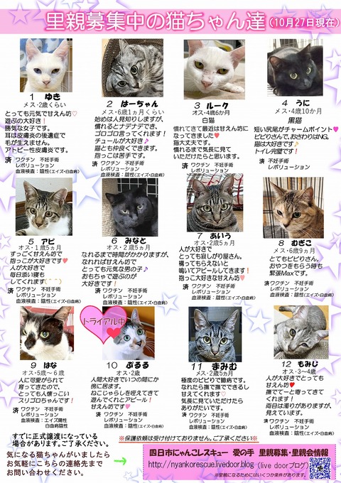s-itirannsaooya2-3.20241027lip