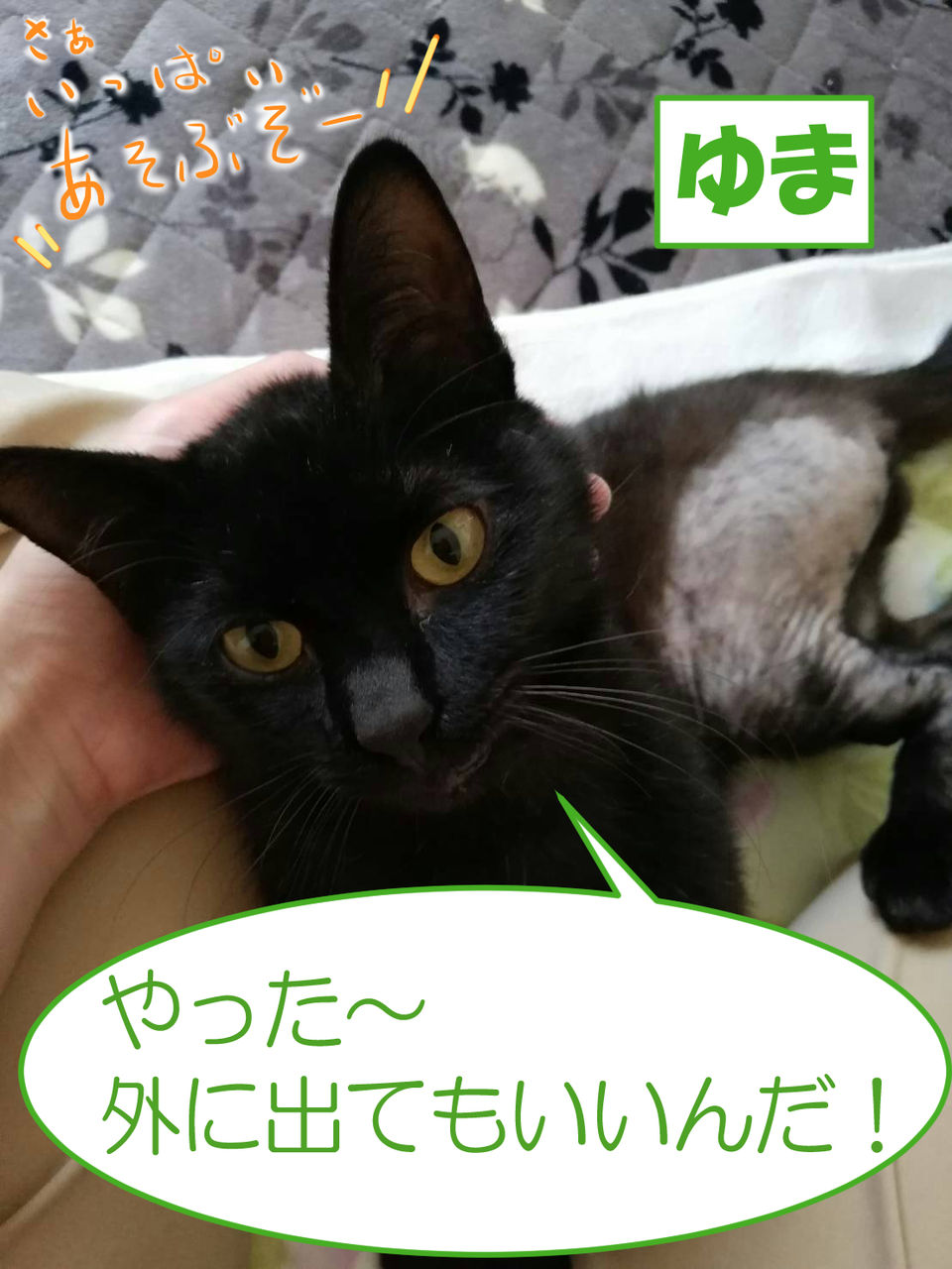 イメージ 1