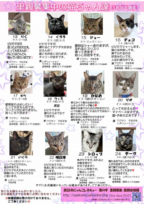 s-itirannsatooya2-2024526ip