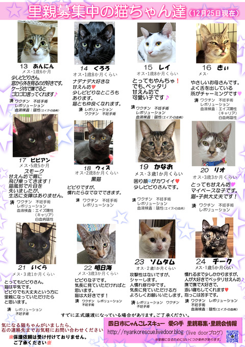 itirannsatooya2-20221225ip