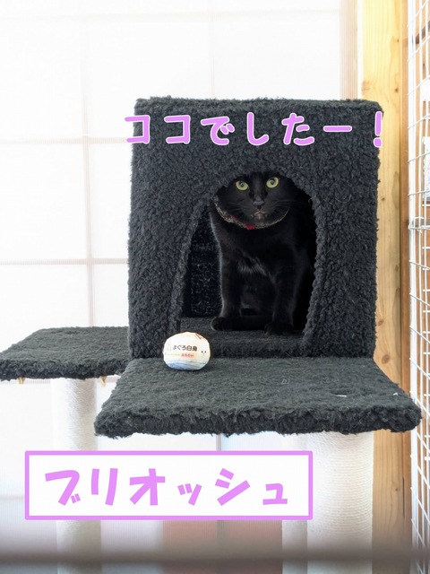 s-buri