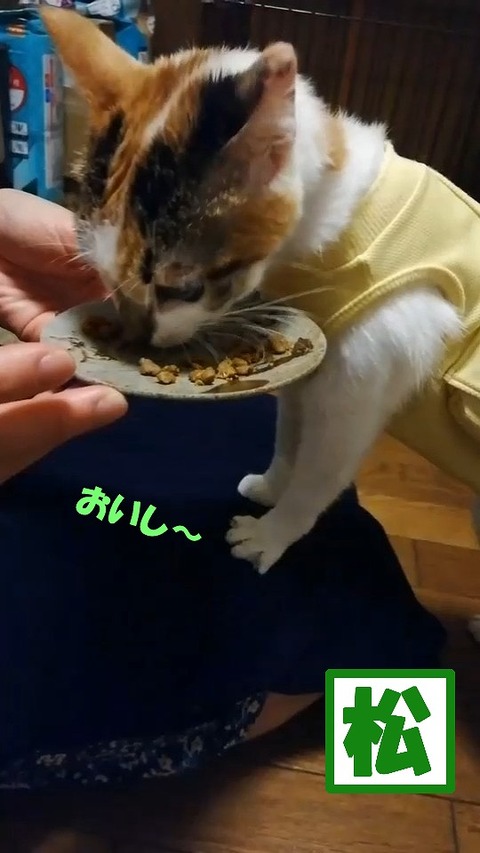s-matutabe