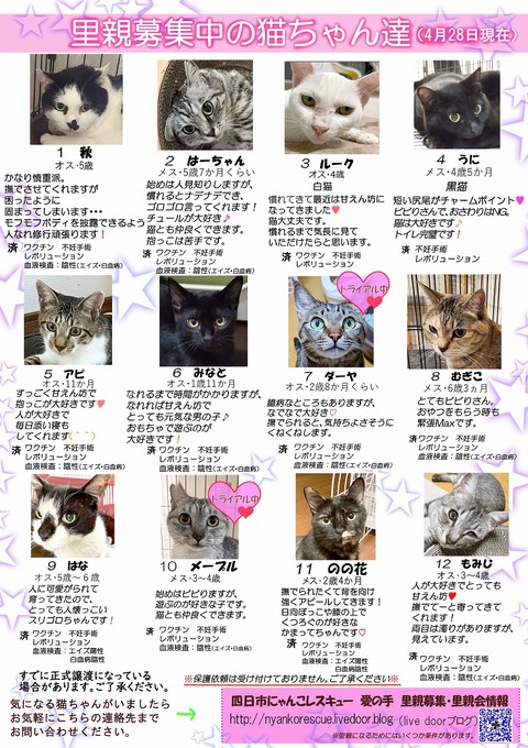 s-itirannsaooya2-3.2024428lip