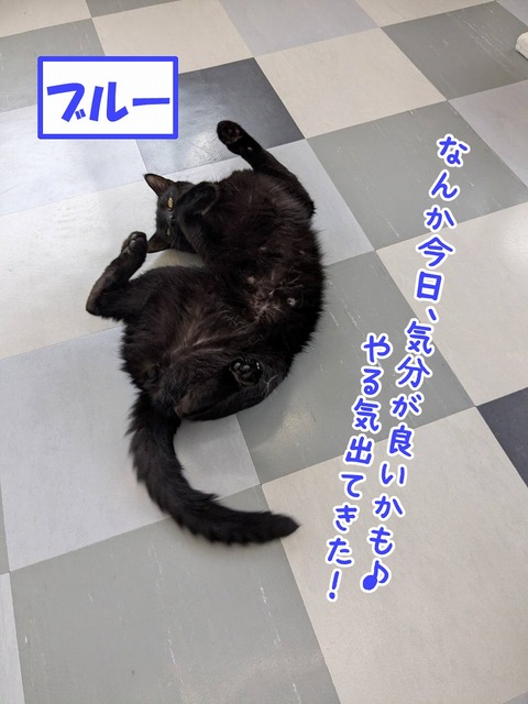 s-buru-