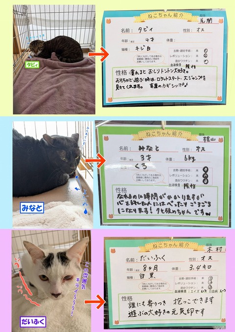 s-pure-to